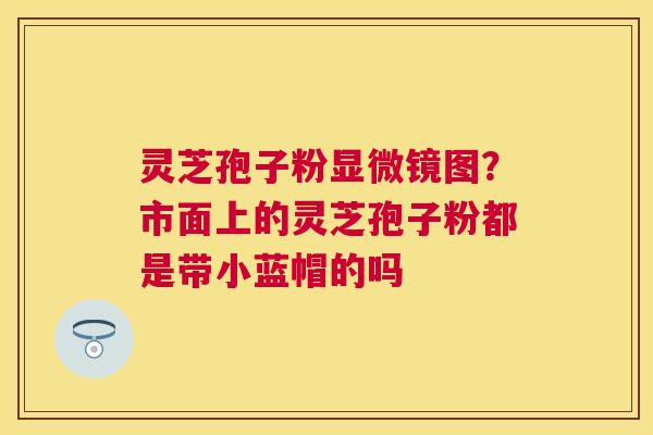 灵芝孢子粉显微镜图？市面上的灵芝孢子粉都是带小蓝帽的吗