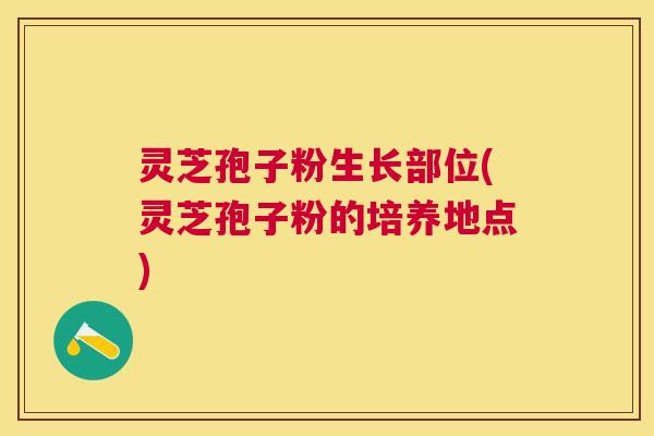 灵芝孢子粉生长部位(灵芝孢子粉的培养地点)
