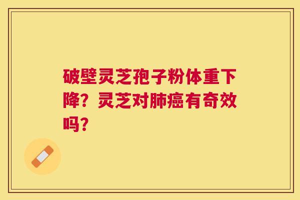 破壁灵芝孢子粉体重下降?灵芝对有奇效吗? 破壁灵芝孢子粉体重下降?灵芝对有奇效吗?