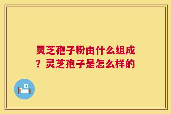 灵芝孢子粉由什么组成?灵芝孢子是怎么样的 灵芝孢子粉由什么组成?灵芝孢子是怎么样的