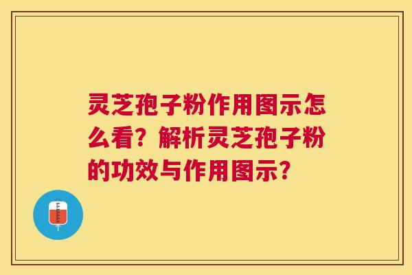 灵芝孢子粉作用图示怎么看?解析灵芝孢子粉的功效与作用图示? 灵芝孢子粉作用图示怎么看?解析灵芝孢子粉的功效与作用图示?
