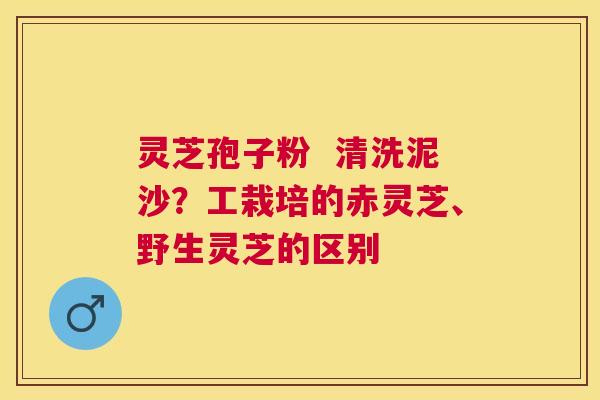 灵芝孢子粉 清洗泥沙?工栽培的赤灵芝、野生灵芝的区别 灵芝孢子粉 清洗泥沙?工栽培的赤灵芝、野生灵芝的区别