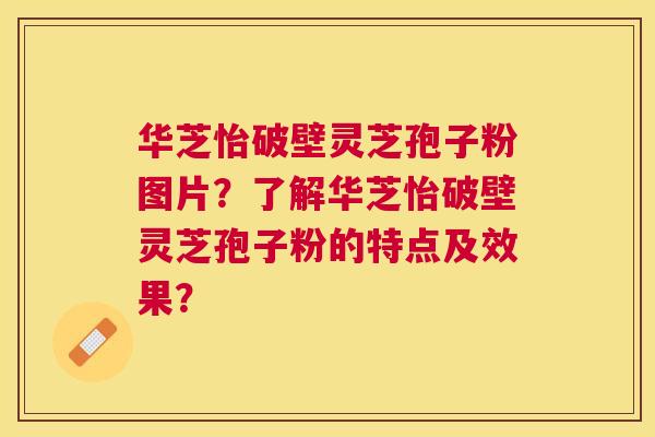 华芝怡破壁灵芝孢子粉图片？了解华芝怡破壁灵芝孢子粉的特点及效果？