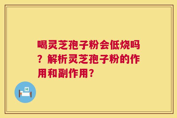 喝灵芝孢子粉会低烧吗?解析灵芝孢子粉的作用和副作用? 喝灵芝孢子粉会低烧吗?解析灵芝孢子粉的作用和副作用?
