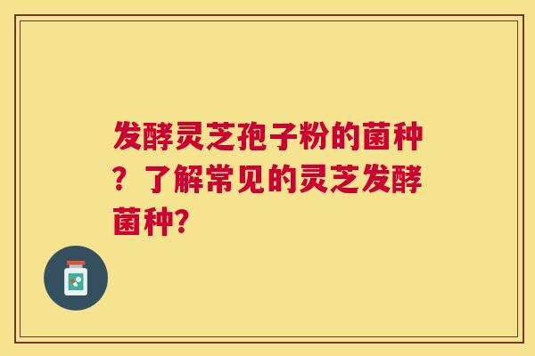 发酵灵芝孢子粉的菌种？了解常见的灵芝发酵菌种？