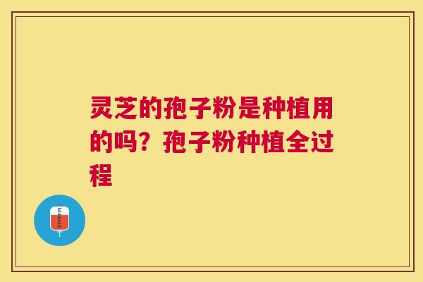灵芝的孢子粉是种植用的吗？孢子粉种植全过程