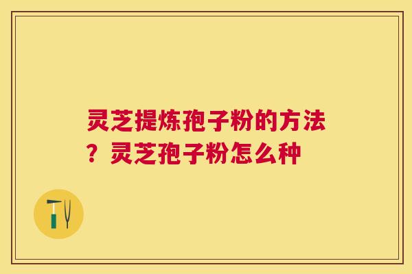 灵芝提炼孢子粉的方法？灵芝孢子粉怎么种