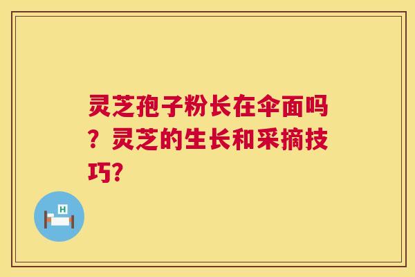 灵芝孢子粉长在伞面吗?灵芝的生长和采摘技巧? 灵芝孢子粉长在伞面吗?灵芝的生长和采摘技巧?