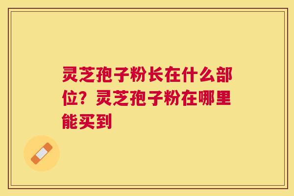 灵芝孢子粉长在什么部位?灵芝孢子粉在哪里能买到 灵芝孢子粉长在什么部位?灵芝孢子粉在哪里能买到
