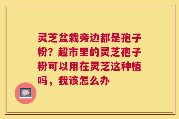 灵芝盆栽旁边都是孢子粉?超市里的灵芝孢子粉可以用在灵芝这种植吗,我该怎么办 灵芝盆栽旁边都是孢子粉?超市里的灵芝孢子粉可以用在灵芝这种植吗,我该怎么办