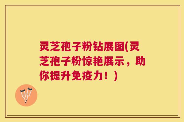 灵芝孢子粉钻展图(灵芝孢子粉惊艳展示，助你提升免疫力！)