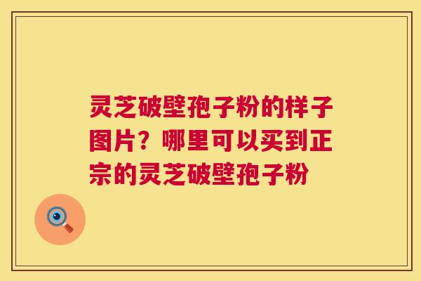 灵芝破壁孢子粉的样子图片？哪里可以买到正宗的灵芝破壁孢子粉