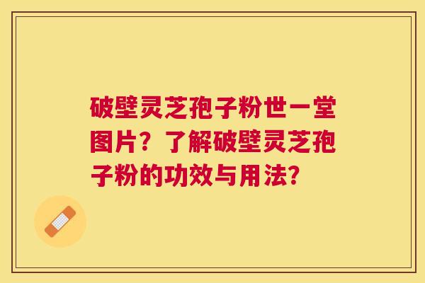 破壁灵芝孢子粉世一堂图片?了解破壁灵芝孢子粉的功效与用法? 破壁灵芝孢子粉世一堂图片?了解破壁灵芝孢子粉的功效与用法?