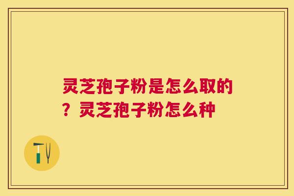灵芝孢子粉是怎么取的?灵芝孢子粉怎么种 灵芝孢子粉是怎么取的?灵芝孢子粉怎么种
