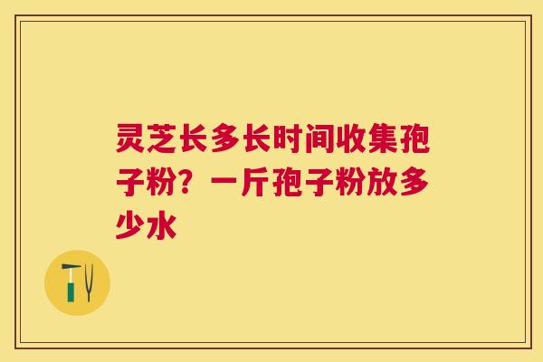 灵芝长多长时间收集孢子粉?一斤孢子粉放多少水 灵芝长多长时间收集孢子粉?一斤孢子粉放多少水