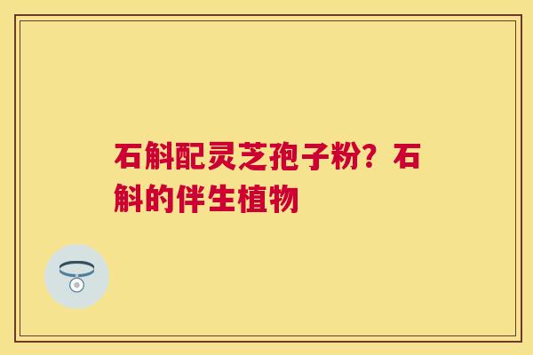 石斛配灵芝孢子粉?石斛的伴生植物 石斛配灵芝孢子粉?石斛的伴生植物