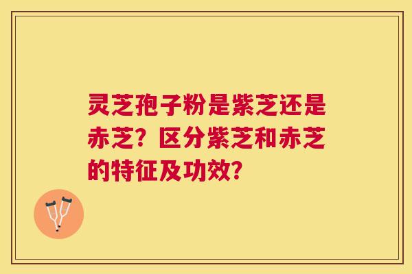 灵芝孢子粉是紫芝还是赤芝?区分紫芝和赤芝的特征及功效? 灵芝孢子粉是紫芝还是赤芝?区分紫芝和赤芝的特征及功效?