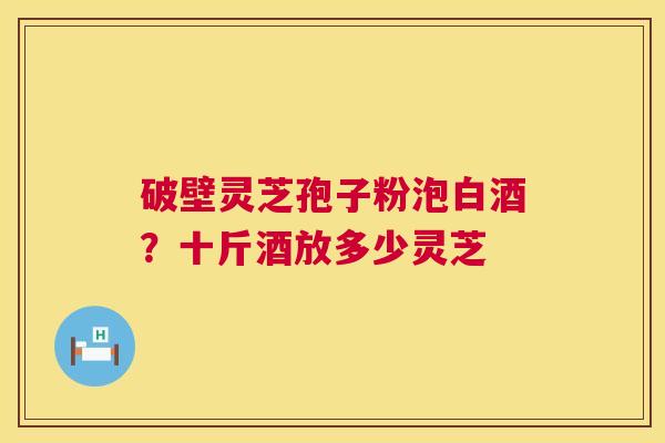 破壁灵芝孢子粉泡白酒?十斤酒放多少灵芝 破壁灵芝孢子粉泡白酒?十斤酒放多少灵芝