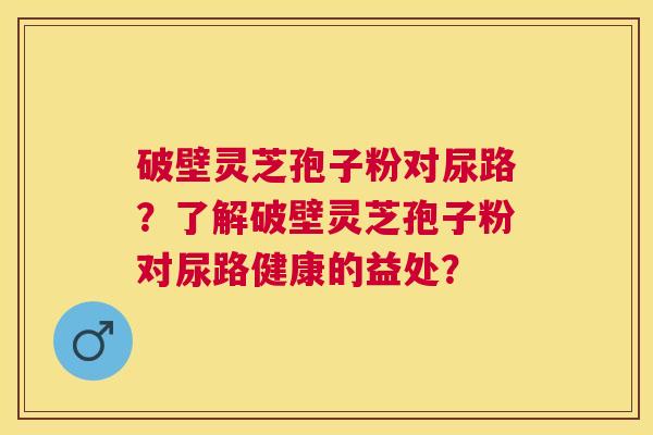 破壁灵芝孢子粉对尿路？了解破壁灵芝孢子粉对尿路健康的益处？
