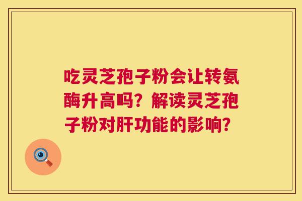 吃灵芝孢子粉会让转氨酶升高吗？解读灵芝孢子粉对功能的影响？