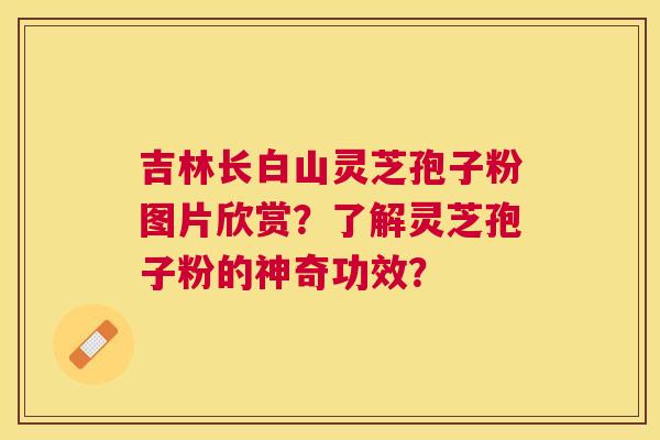 吉林长白山灵芝孢子粉图片欣赏？了解灵芝孢子粉的神奇功效？