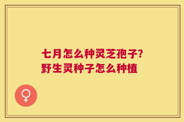 七月怎么种灵芝孢子?野生灵种子怎么种植 七月怎么种灵芝孢子?野生灵种子怎么种植