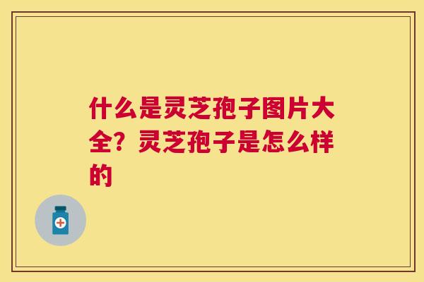 什么是灵芝孢子图片大全？灵芝孢子是怎么样的