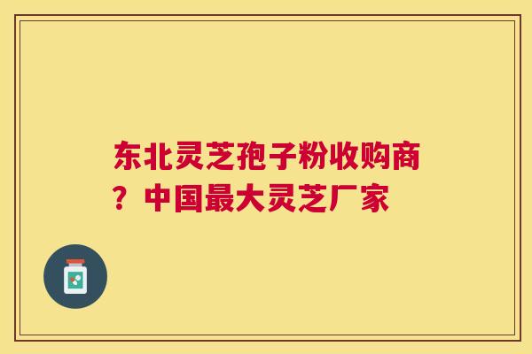 东北灵芝孢子粉收购商?中国大灵芝厂家 东北灵芝孢子粉收购商?中国大灵芝厂家