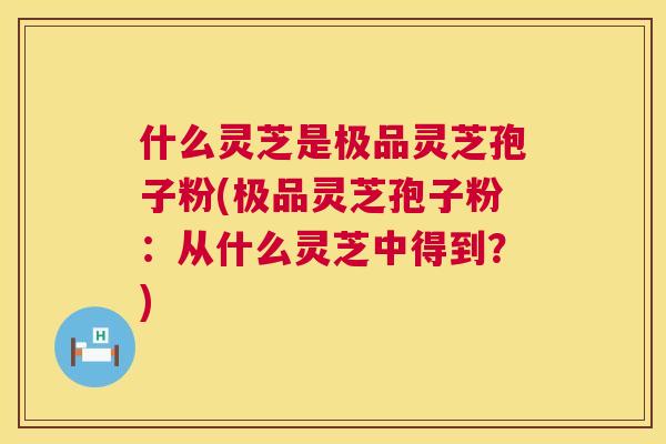 什么灵芝是极品灵芝孢子粉(极品灵芝孢子粉:从什么灵芝中得到?) 什么灵芝是极品灵芝孢子粉(极品灵芝孢子粉:从什么灵芝中得到?)
