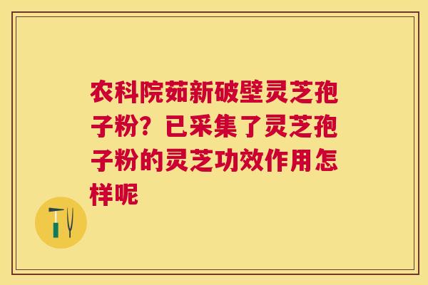 农科院茹新破壁灵芝孢子粉?已采集了灵芝孢子粉的灵芝功效作用怎样呢 农科院茹新破壁灵芝孢子粉?已采集了灵芝孢子粉的灵芝功效作用怎样呢