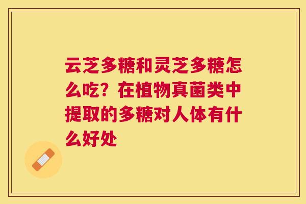 云芝多糖和灵芝多糖怎么吃?在植物真菌类中提取的多糖对人体有什么好处 云芝多糖和灵芝多糖怎么吃?在植物真菌类中提取的多糖对人体有什么好处