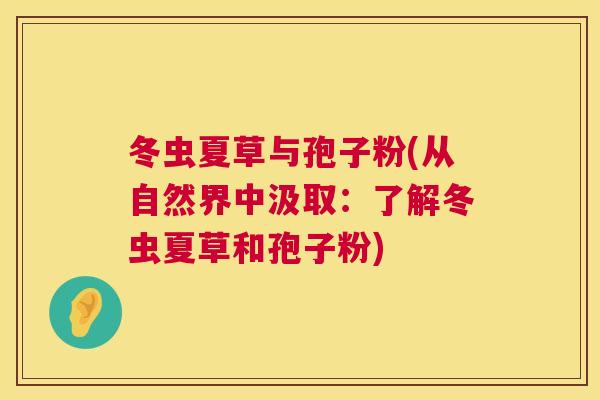 冬虫夏草与孢子粉(从自然界中汲取:了解冬虫夏草和孢子粉) 冬虫夏草与孢子粉(从自然界中汲取:了解冬虫夏草和孢子粉)