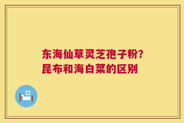 东海仙草灵芝孢子粉？昆布和海白菜的区别