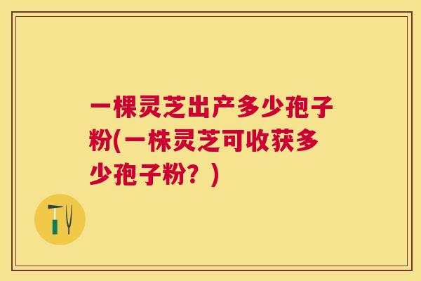 一棵灵芝出产多少孢子粉(一株灵芝可收获多少孢子粉?) 一棵灵芝出产多少孢子粉(一株灵芝可收获多少孢子粉?)