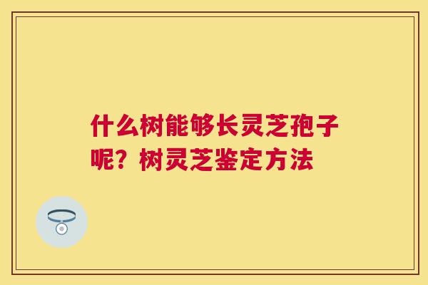什么树能够长灵芝孢子呢?树灵芝鉴定方法 什么树能够长灵芝孢子呢?树灵芝鉴定方法