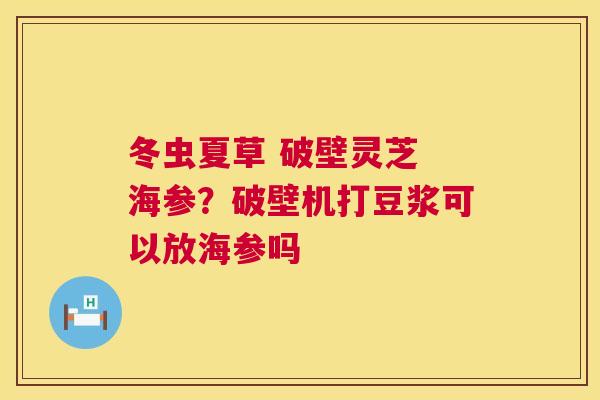 冬虫夏草 破壁灵芝 海参？破壁机打豆浆可以放海参吗