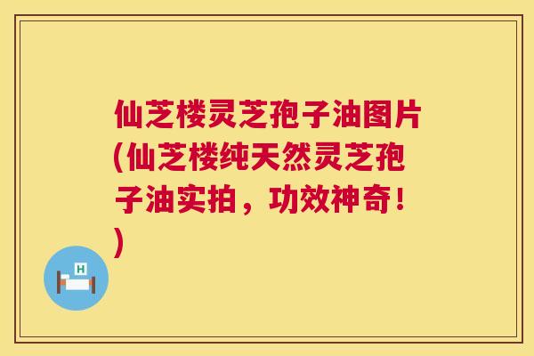 仙芝楼灵芝孢子油图片(仙芝楼纯天然灵芝孢子油实拍，功效神奇！)