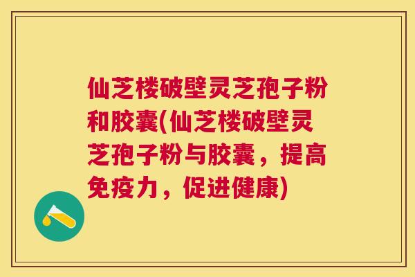 仙芝楼破壁灵芝孢子粉和胶囊(仙芝楼破壁灵芝孢子粉与胶囊,提高免疫力,促进健康) 仙芝楼破壁灵芝孢子粉和胶囊(仙芝楼破壁灵芝孢子粉与胶囊,提高免疫力,促进健康)