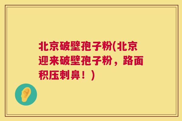 北京破壁孢子粉(北京迎来破壁孢子粉,路面积压刺鼻!) 北京破壁孢子粉(北京迎来破壁孢子粉,路面积压刺鼻!)