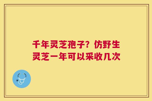 千年灵芝孢子?仿野生灵芝一年可以采收几次 千年灵芝孢子?仿野生灵芝一年可以采收几次
