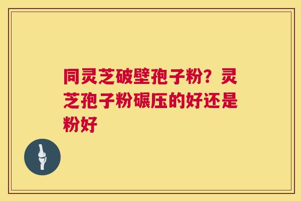 同灵芝破壁孢子粉？灵芝孢子粉碾压的好还是粉好