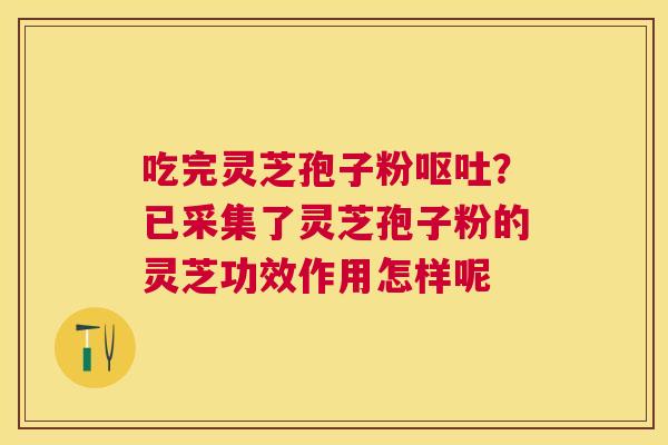 吃完灵芝孢子粉？已采集了灵芝孢子粉的灵芝功效作用怎样呢