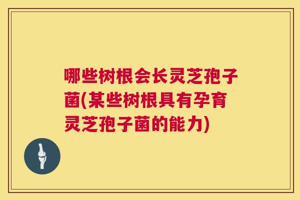 哪些树根会长灵芝孢子菌(某些树根具有孕育灵芝孢子菌的能力) 哪些树根会长灵芝孢子菌(某些树根具有孕育灵芝孢子菌的能力)
