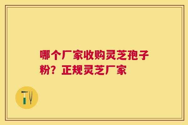 哪个厂家收购灵芝孢子粉?正规灵芝厂家 哪个厂家收购灵芝孢子粉?正规灵芝厂家