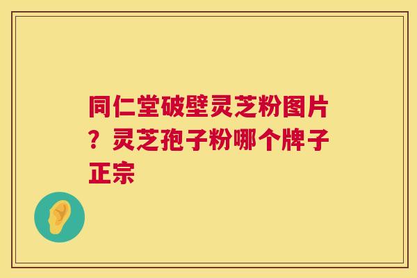 同仁堂破壁灵芝粉图片？灵芝孢子粉哪个牌子正宗