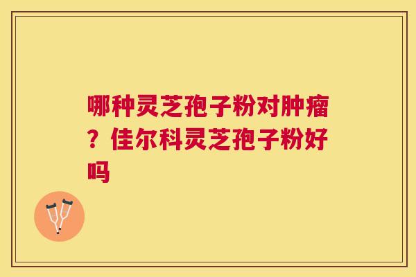 哪种灵芝孢子粉对？佳尔科灵芝孢子粉好吗