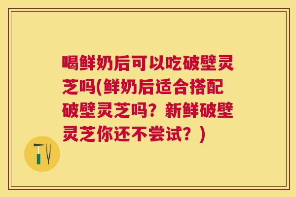 喝鲜奶后可以吃破壁灵芝吗(鲜奶后适合搭配破壁灵芝吗?新鲜破壁灵芝你还不尝试?) 喝鲜奶后可以吃破壁灵芝吗(鲜奶后适合搭配破壁灵芝吗?新鲜破壁灵芝你还不尝试?)