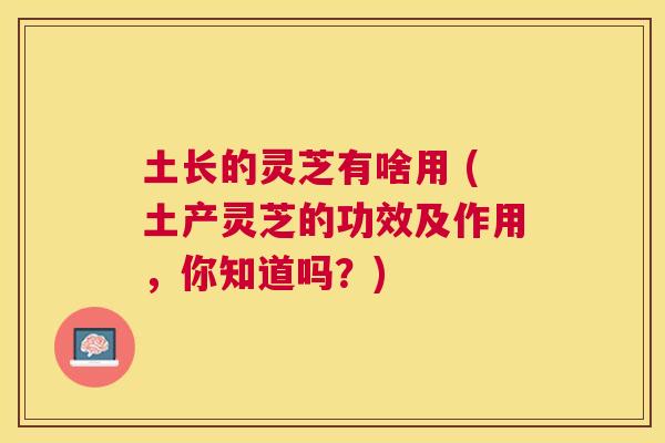 土长的灵芝有啥用 (土产灵芝的功效及作用,你知道吗?) 土长的灵芝有啥用 (土产灵芝的功效及作用,你知道吗?)