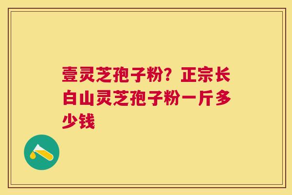壹灵芝孢子粉?正宗长白山灵芝孢子粉一斤多少钱 壹灵芝孢子粉?正宗长白山灵芝孢子粉一斤多少钱