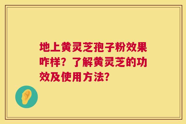 地上黄灵芝孢子粉效果咋样?了解黄灵芝的功效及使用方法? 地上黄灵芝孢子粉效果咋样?了解黄灵芝的功效及使用方法?
